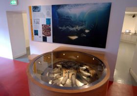 David McCabe Design