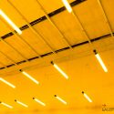 Museum Ideas 2025 Conference, London  – 17 Sep